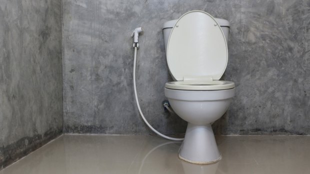 Around the world's toilets: Seven places where you'll never have to worry  about toilet paper