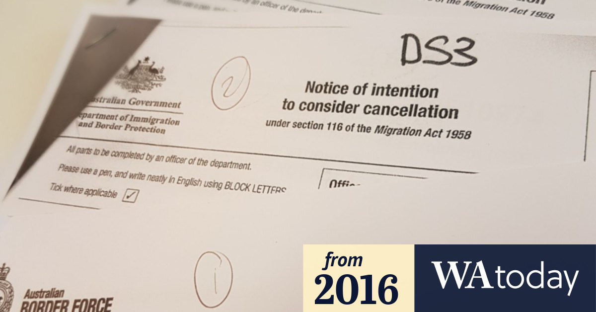 How does turnitin work with canvas picture