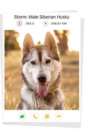 Zeppee: It's like Tinder, helping you connect with a furry friend