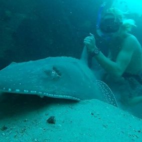 Cooper Allen's Facebook page shows he is a keen beachgoer.