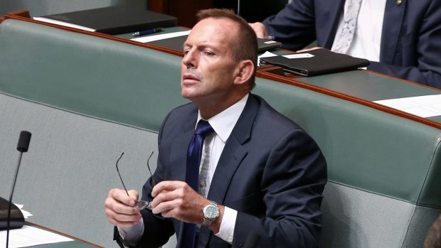 Former prime minister Tony Abbott denies being behind the leak.