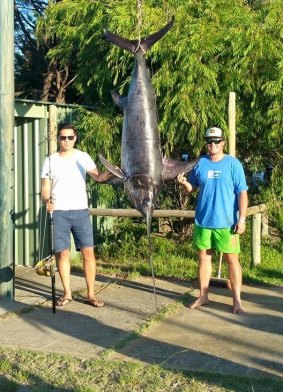 Perth angler reels in monster 363-kilogram black marlin off