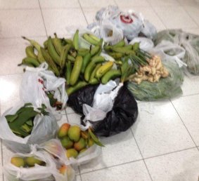The haul included 15 mangoes, 68 bananas, two pineapples, seven ginger bulbs, 6 kilograms of betel nuts, three plants and 2 kilograms of plant material.