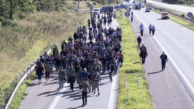 Hundreds of refugees are escorted by Danish police on a highway in southern Denmark.