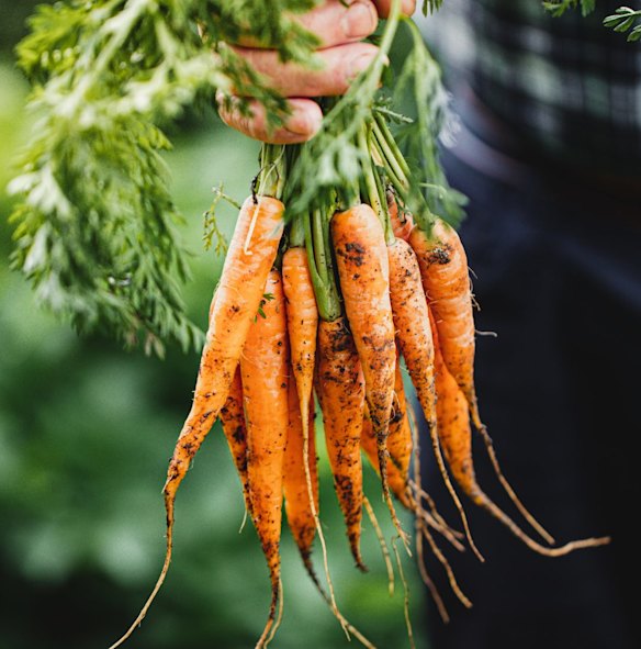 "The carrot price never really changes, it hasn't for 20 years."