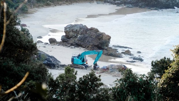 The dead whale being buried on Nobbys Beach, Port Macquarie. 