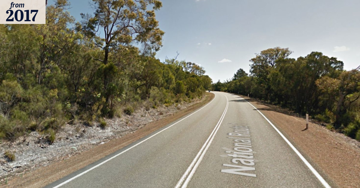 Truck driver killed after hitting roo near Albany