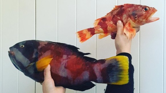 Fish selfies: the great 2017 trend.