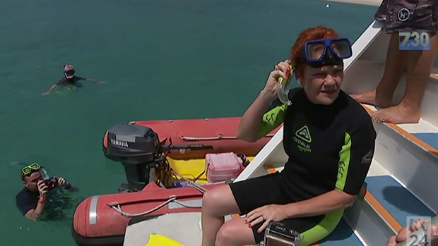 One Nation Senator Pauline Hanson snorkelling off the Great Barrier Reef.