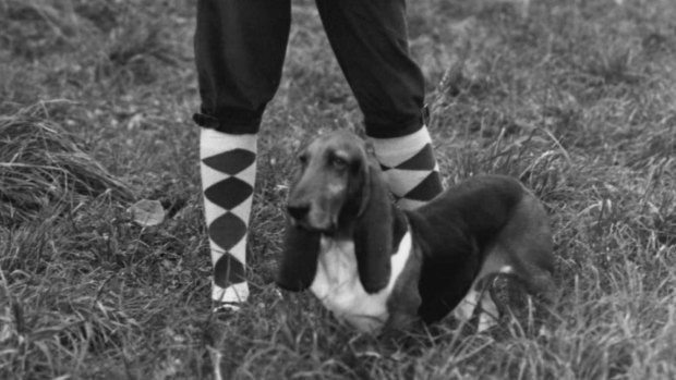 Socks at the ready. All set for a spot of microbiology.