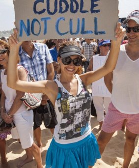 Protestors are set to take to Cottesloe Beach again following mass protests last year 