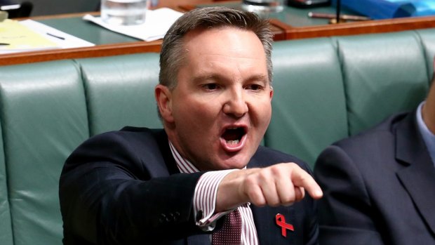 Shadow treasurer Chris Bowen has accused Scott Morrison of crying "crocodile tears" over renters. 