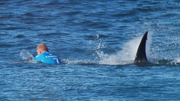 The moment a huge shark launches at Australian surfer Mick Fanning, who escaped without injury after he "punched him in the back". 