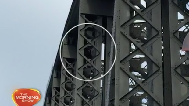 A man climbed the arch on the Sydney Harbour Bridge.