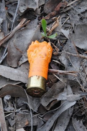 The shotgun shell found nearby.