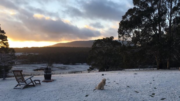 Snow just outside of Woodend looking towards Mt Macedon.
