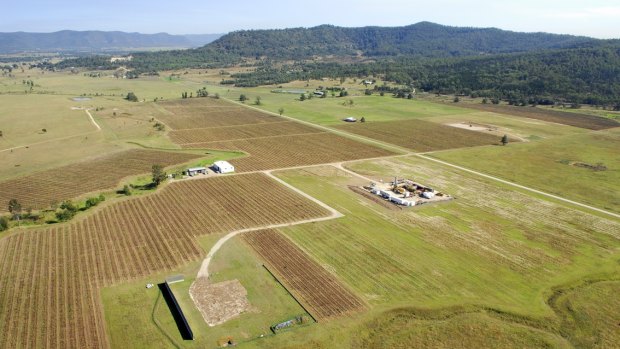 The ultimate role of the vineyards in AGL's community relations program may be determined following the company's review of its unprofitable gas exploration and production business that is due to be completed this month.