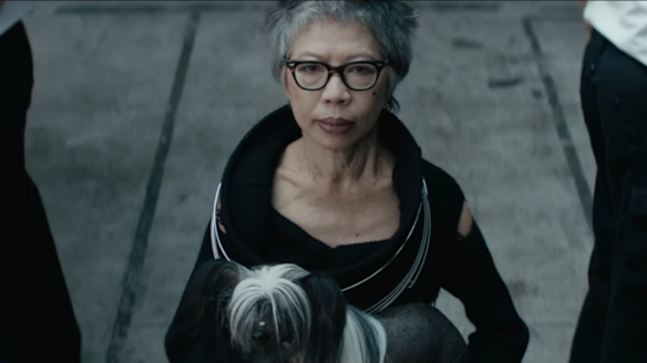 Meat & Livestock Australia's 'Operation Boomerang' advertisement featuring Lee Lin Chin.