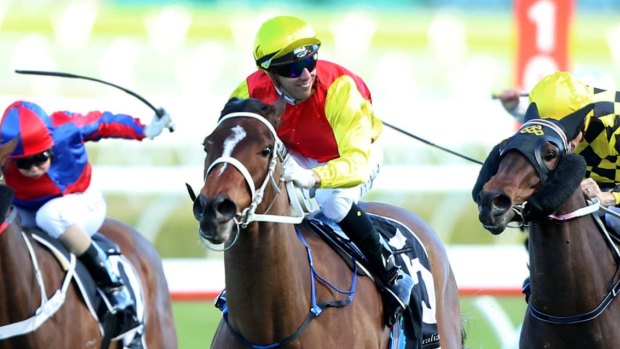 Sharp as: Brenton Avdulla rides Omei Sword to win the Silver Shadow Stakes.