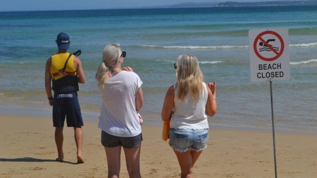 South Broulee, North Broulee and North Head Moruya beaches remain closed.