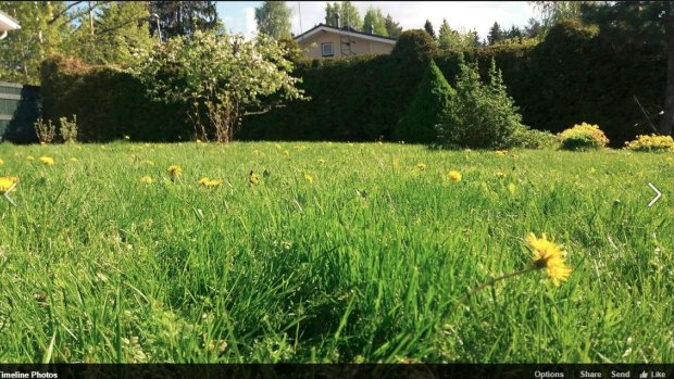 Screenshot from Finland's Post Facebook page advertising lawncare.