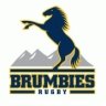 ACT government won't release Brumbies audit until it talks to club, ARU