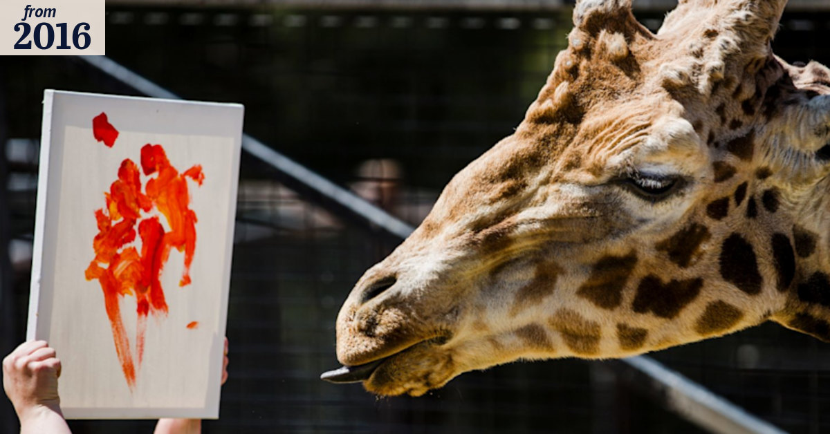 Animals discover their inner artists at National Zoo and Aquarium