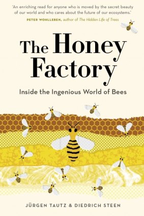 The Honey Factory. By Jurgen Tautz and Diedrich Steen.