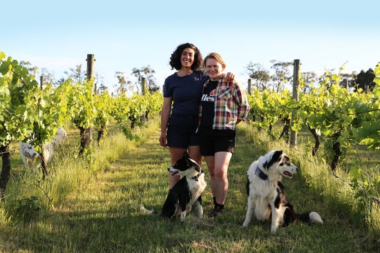 Winemakers Alysha Moscatt and Lucy Kendall with their dogs Oli and Winnie.