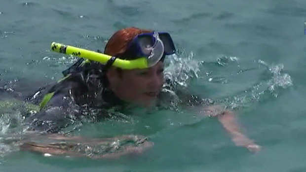 One Nation Senator Pauline Hanson snorkelling off the Great Barrier Reef.