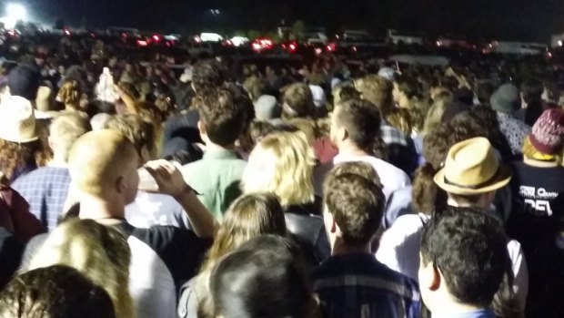 Part of the three-hour bus queue taken by a festival-goer.