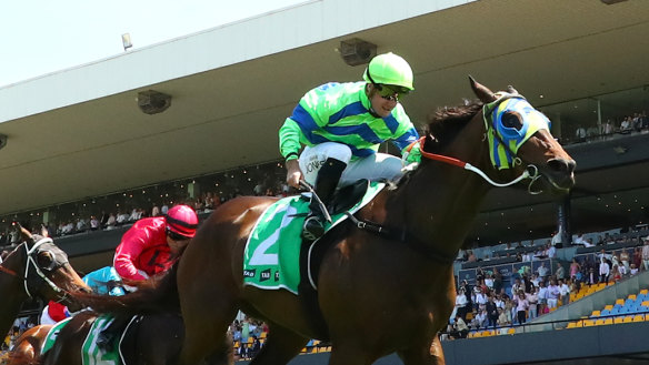 The Dramatist (Diggers Cup) wins a Highway at Rosehill in November.