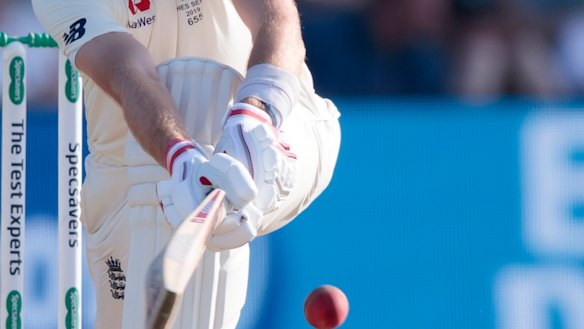 Aram Mirkazemi has been a keen follower of the Ashes action. .