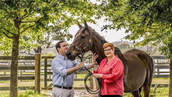 Stuart Ayres with his partner Marise Payne, now the Foreign Affairs Minister, 
 at Fernhill in 2015.
