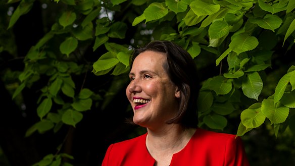 Kelly O'Dwyer is facing a battle to retain her seat of Higgins in Melbourne's inner south-east.