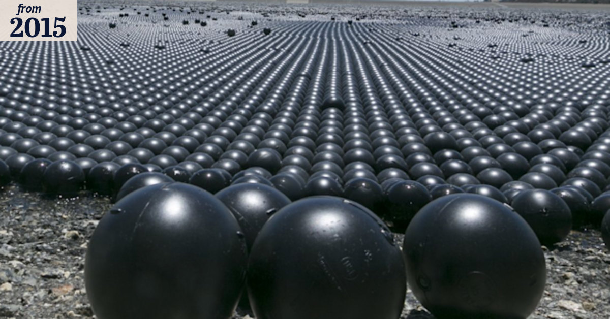 The hypnotising tool California is using to save water