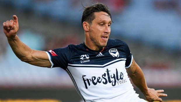 Speculation: Transfer talk still surrounds Mark Milligan despite a strong statement by the Melbourne Victory board.