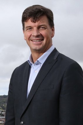 Angus Taylor (pictured) and Zed Seselja on Monday warned against any same-sex marriage change.