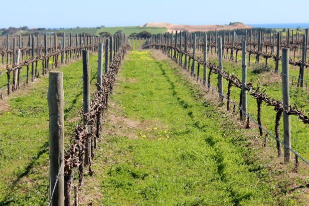 Mclaren Vale Vineyards Sold For 10 Million