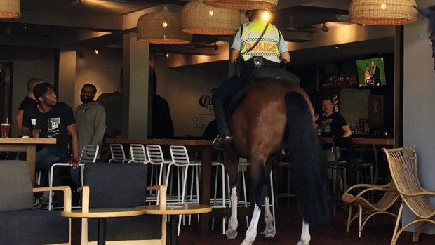 Stunned patrons watch on as the police horse enters the venue.