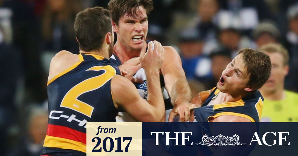 Tom Hawkins Shouldn T Be Suspended For Jumper Punch Says Cats Coach Chris Scott