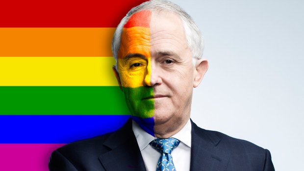 Same-sex marriage enjoys support in the community but the Coalition has struggled to deal with the issue internally. 