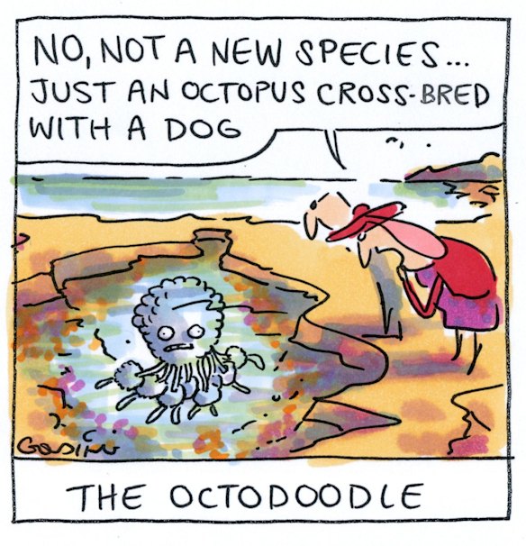 Illustration: Matt Golding