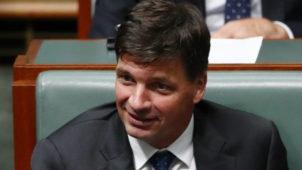 Angus Taylor believes left-wing politics has a serious problem.
