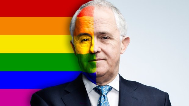 Same-sex marriage enjoys support in the community but the Coalition has struggled to deal with the issue internally. 