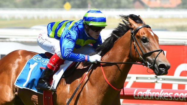Lameness may force Jukebox out of the Blue Diamond Stakes on Saturday. 