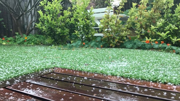 Els Van de Veire captured hail falling in the backyard of her Perth home.