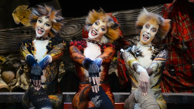 The musical Cats opens at the Capitol Theatre in Sydney on October 30.