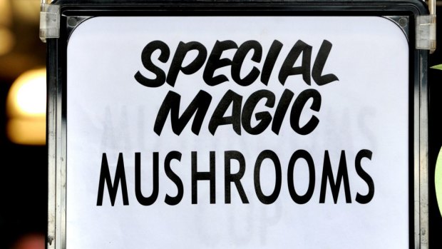 Could magic mushrooms help treat mental illness?
