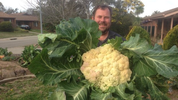 Troy Lloyd with his huge cauliflower.